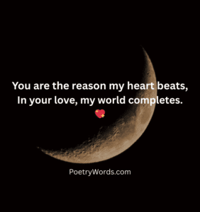 Husband Wife Shayari in English