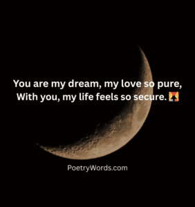 Husband Wife Shayari in English