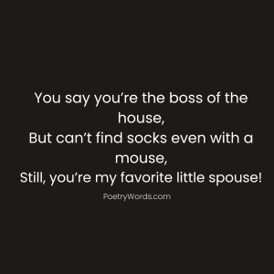 Funny Shayari in English for Husband