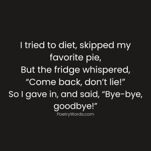 Funny Shayari in English