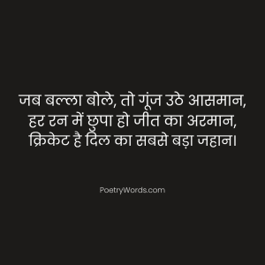 Best Cricket Shayari in Hindi