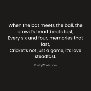 Cricket Shayari In English