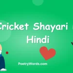 cricket shayari in hindi