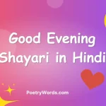 Good Evening Shayari