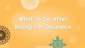 What to Do After Buying Car Insurance