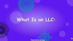 What Is an LLC