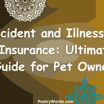 Accident and Illness Pet Insurance: Ultimate Guide for Pet Owners