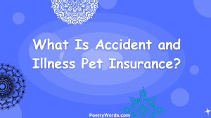 What Is Accident and Illness Pet Insurance?
