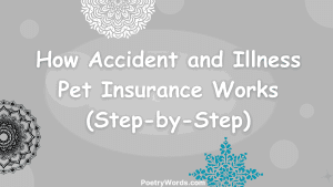 How Accident and Illness Pet Insurance Works (Step-by-Step)