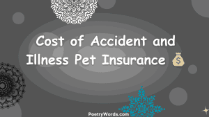 Cost of Accident and Illness Pet Insurance 💰
