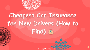 Cheapest Car Insurance for New Drivers (How to Find) 💰