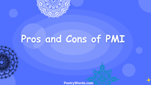 Pros and Cons of PMI