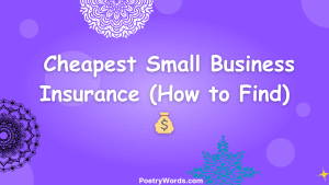  Cheapest Small Business Insurance (How to Find) 💰