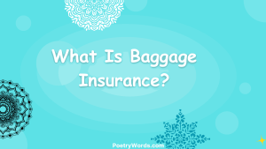 What Is Baggage Insurance?