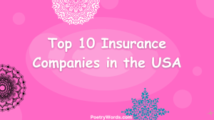 Top 10 Insurance Companies in the USA