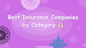 Best Insurance Companies by Category 💰