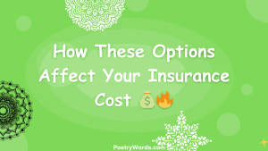 How These Options Affect Your Insurance Cost 💰🔥