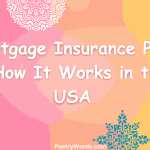 Mortgage Insurance PMI – How It Works in the USA