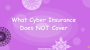 What Cyber Insurance Does NOT Cover