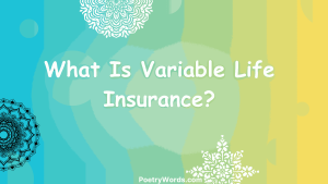What Is Variable Life Insurance?