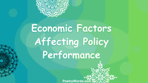 Economic Factors Affecting Policy Performance